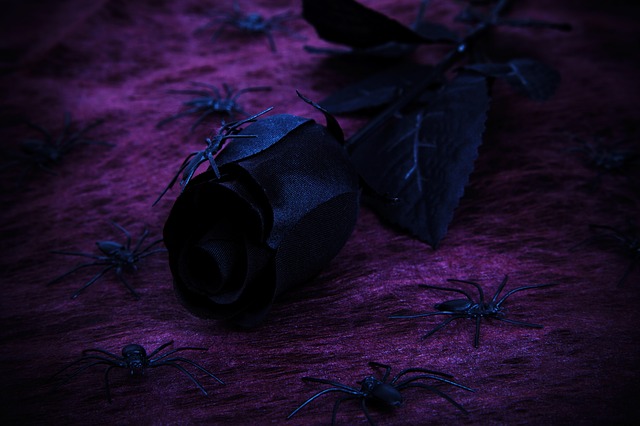 roses noires